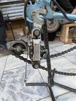 IMG_6545.jpeg