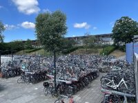 IMG_7960.jpeg