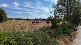 Ekran Görüntüsü (14).png