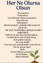 Screenshot_20250613_213852.jpg Screenshot_20250613_213852.jpg