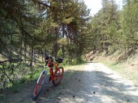 IMG_20250628_125744_1.jpg