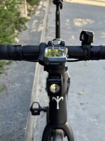 IMG_7517.jpeg