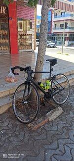 IMG_20250706_083302.jpg