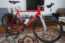 SAM1228_sm.jpg