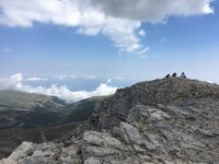 IMG_3530.jpeg
