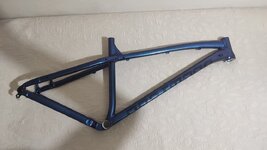 IMG_20250721_203004.jpg IMG_20250721_203004.jpg