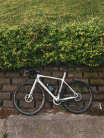 IMG_9432.jpeg