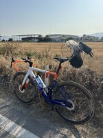 IMG_3982.jpeg