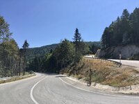 IMG_3614.jpeg