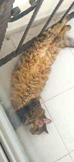 IMG_20250816_184651.jpg