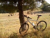 Fotoğraf-0067.jpg