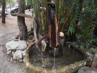 DSCN5071.JPG DSCN5071.JPG