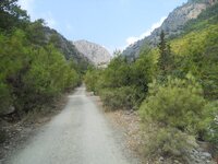 DSCN5095.JPG DSCN5095.JPG