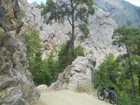 DSCN5106.JPG DSCN5106.JPG