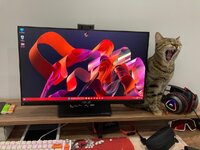 1757210880619.jpeg