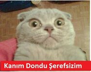 kanim-dondu-serefsizim_910814_m (1).jpg