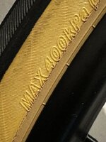 IMG_8007.jpeg IMG_8007.jpeg