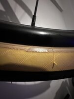 IMG_8006.jpeg IMG_8006.jpeg