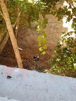 IMG_20250924_114612_321.jpg
