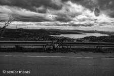 IMG_5270.jpeg