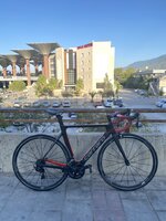IMG_1203.jpeg