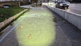 WhatsApp Image 2025-11-21 at 08.41.36.jpeg