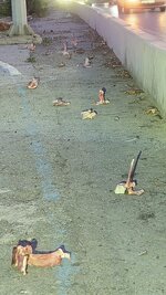 WhatsApp Image 2025-11-21 at 08.41.35 (1).jpeg