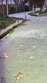 WhatsApp Image 2025-11-21 at 08.41.35 (4).jpeg