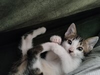 IMG_20251128_120745.jpg IMG_20251128_120745.jpg