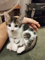 IMG_20251127_012136.jpg IMG_20251127_012136.jpg