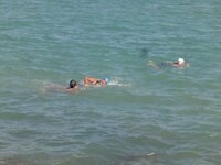 DSC05219 (Medium).JPG