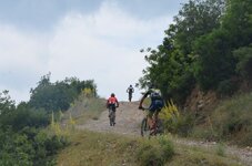 DSC_7094_resize.JPG DSC_7094_resize.JPG