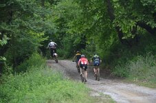 DSC_7308_resize.JPG DSC_7308_resize.JPG