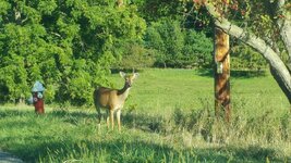 2015-09-05 17.55.49.jpg