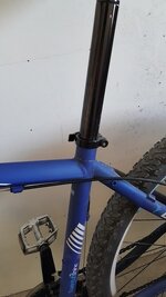 CARRARO BIG 729_.jpg CARRARO BIG 729_.jpg