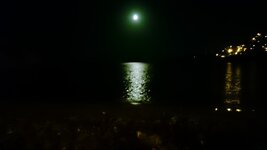 DSC_0355.JPG DSC_0355.JPG