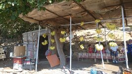 DSC_0424.JPG DSC_0424.JPG