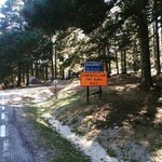 IMG_3987.JPG IMG_3987.JPG