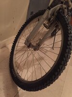 image.jpeg image.jpeg