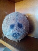 IMG_20151017_133054.jpg IMG_20151017_133054.jpg