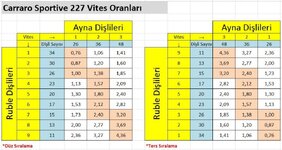 Carraro_Sportive_227 Vites _Oranlari.JPG