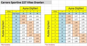 Carraro_Sportive_227 Vites _Oranlari.JPG