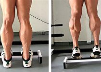 standing-calve-raise.jpg