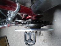 DSC09131 (500x375) (2).jpg