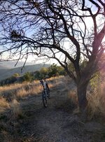 tmp_30409-IMG_20151120_153125955454146.jpg tmp_30409-IMG_20151120_153125955454146.jpg