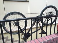 image.jpeg