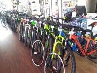 20151124_125514 [50%].jpg