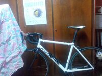 12316284_1638164096452473_2491847400522217048_n.jpg 12316284_1638164096452473_2491847400522217048_n.jpg