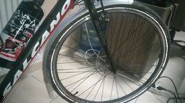 WP_20151204_001.jpg WP_20151204_001.jpg