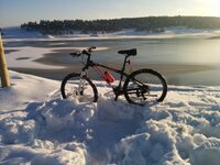 IMG_20150111_154650.jpg
